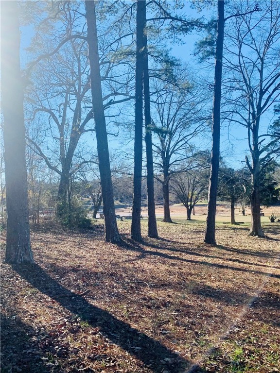 0 Black Road Abbeville, SC 29620 - Photo 10 of 44 GREAT HOMESITE
