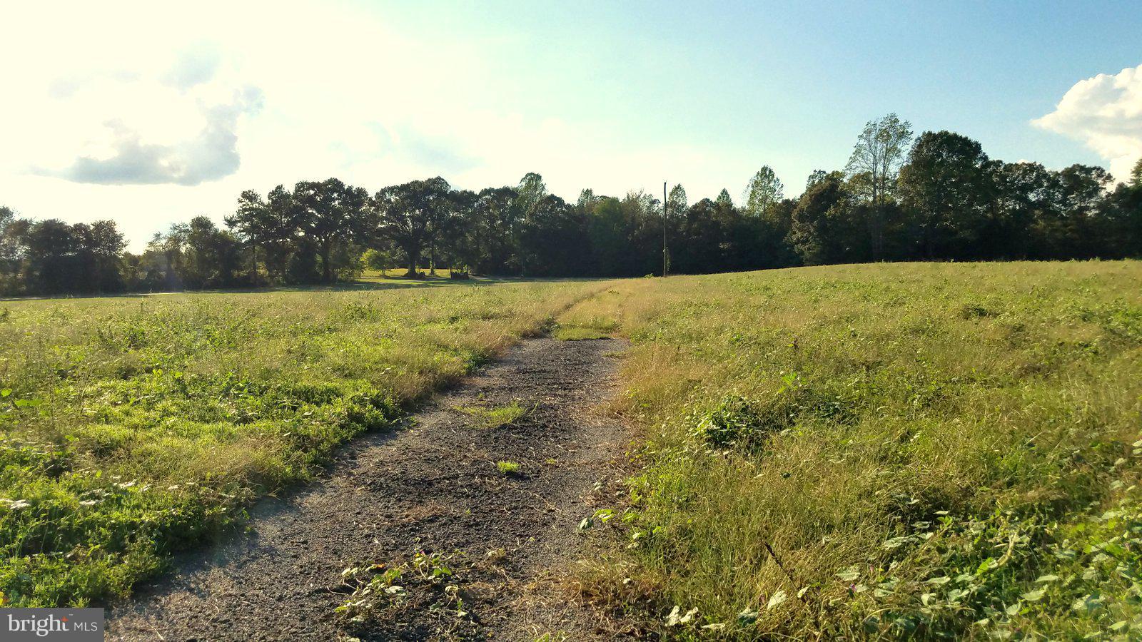 Boxley Road Ruther Glen, VA 22546 - Photo 1 of 15 View