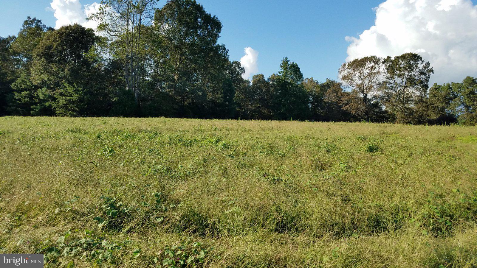 Boxley Road Ruther Glen, VA 22546 - Photo 12 of 15 View