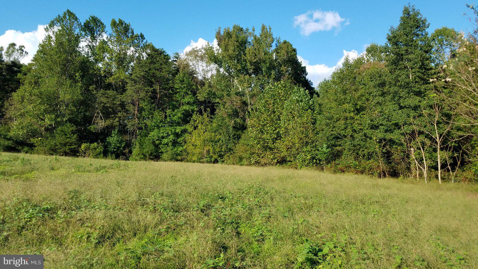 Boxley Road Ruther Glen, VA 22546 - Photo 13 of 15 View