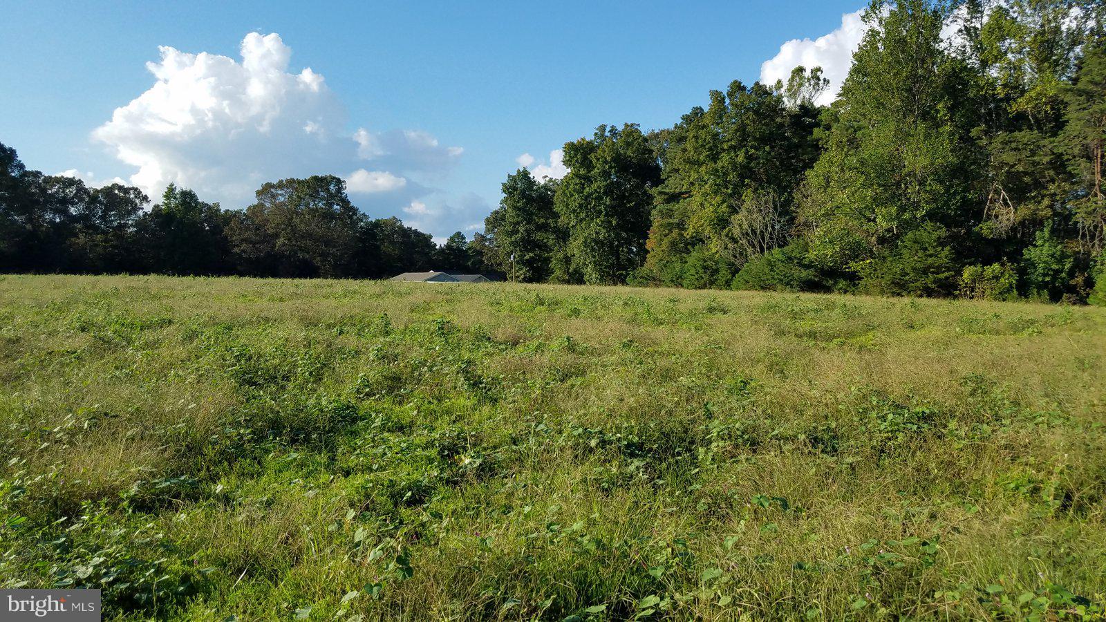 Boxley Road Ruther Glen, VA 22546 - Photo 14 of 15 View