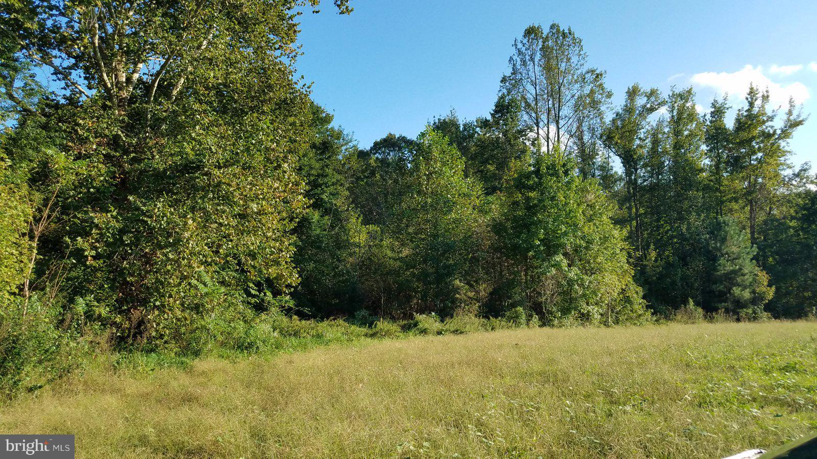 Boxley Road Ruther Glen, VA 22546 - Photo 15 of 15 View