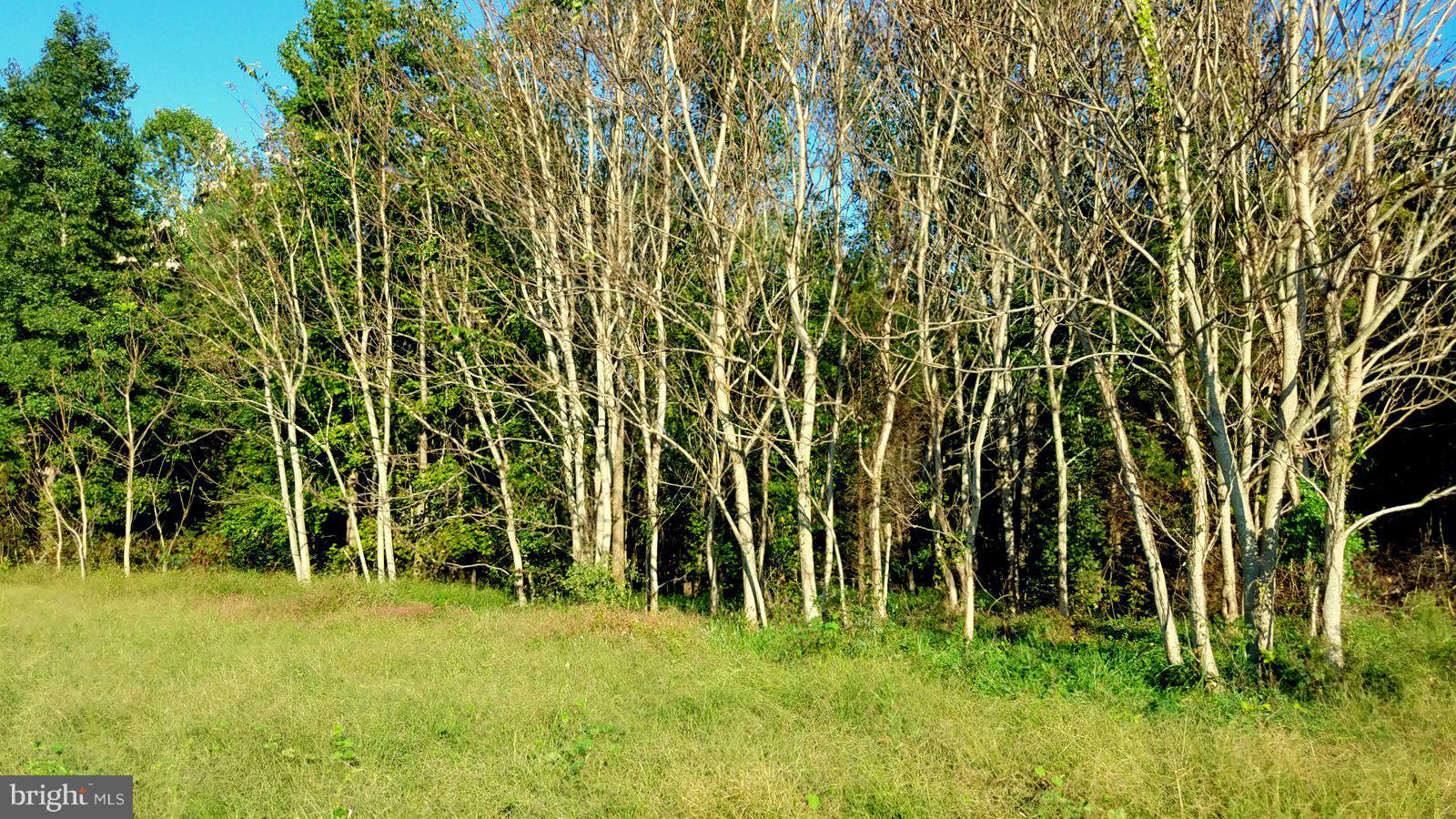 Boxley Road Ruther Glen, VA 22546 - Photo 5 of 15 View