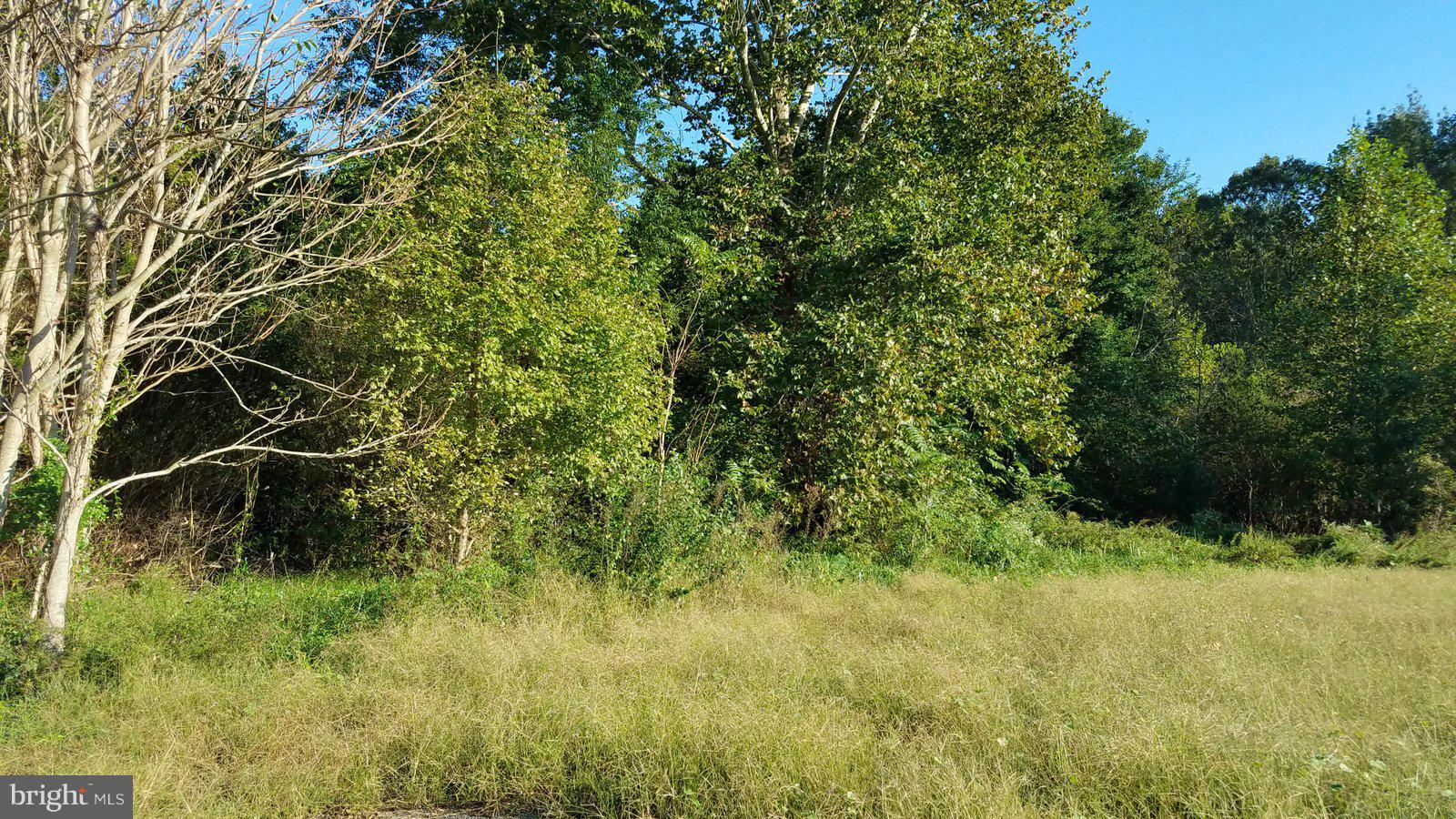 Boxley Road Ruther Glen, VA 22546 - Photo 7 of 15 View