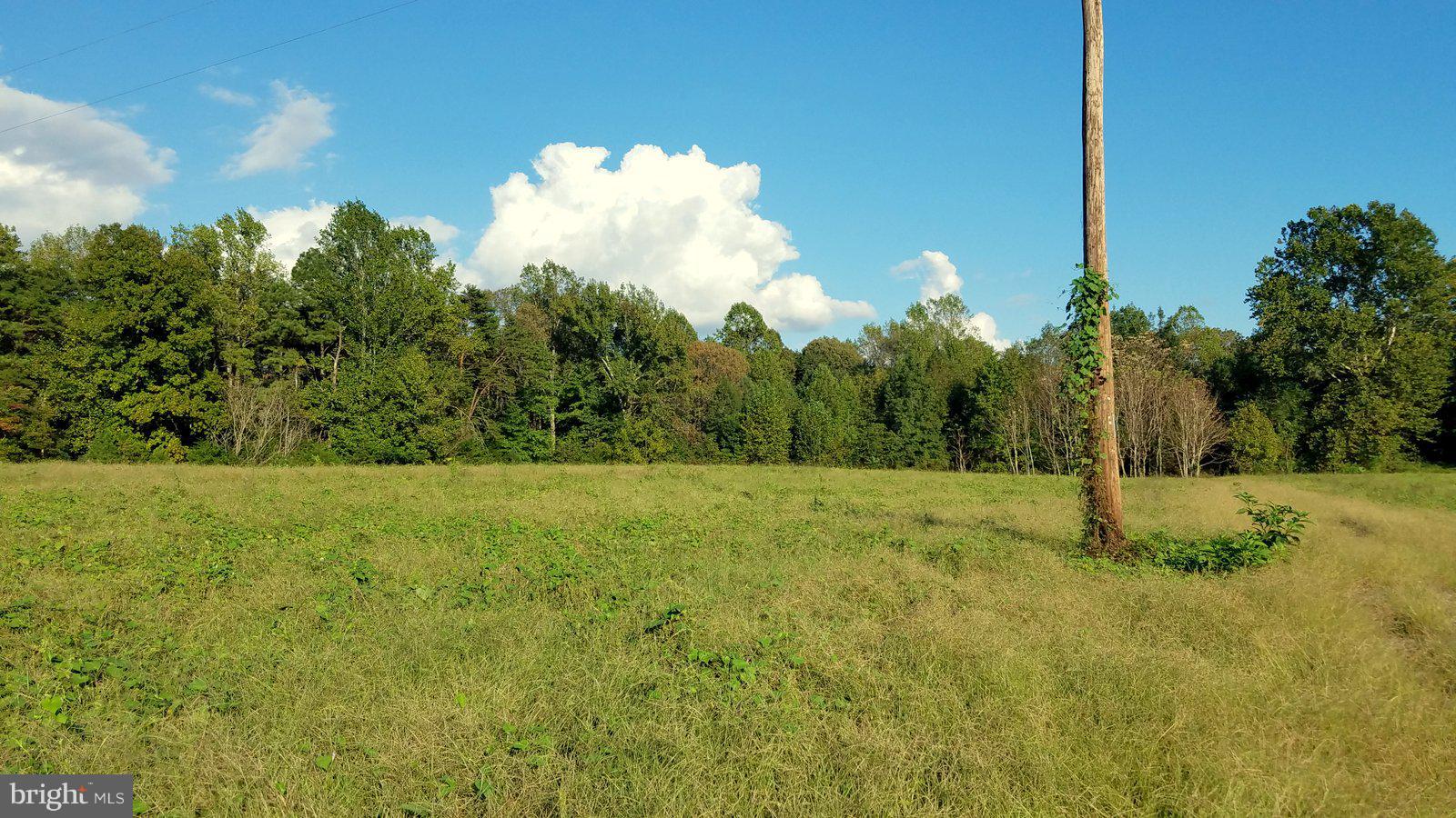 Boxley Road Ruther Glen, VA 22546 - Photo 8 of 15 View