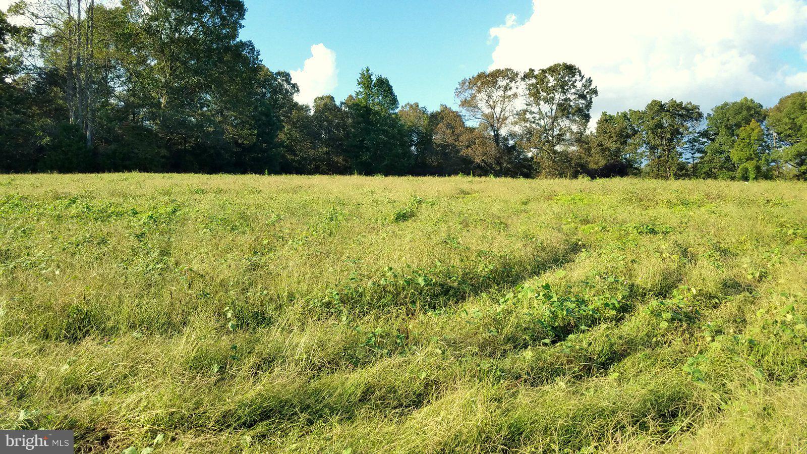 Boxley Road Ruther Glen, VA 22546 - Photo 9 of 15 View