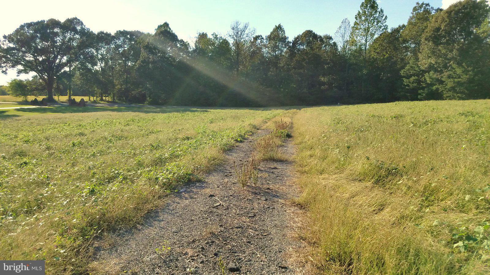 Boxley Road Ruther Glen, VA 22546 - Photo 10 of 15 View