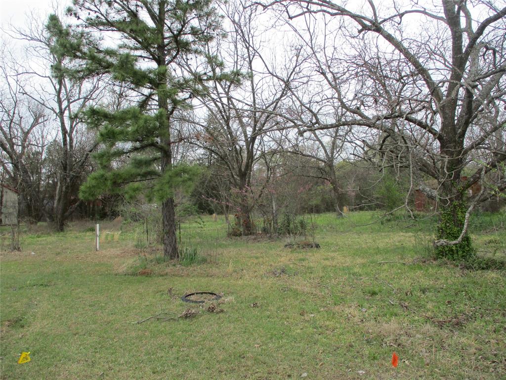 522 Quitman Street Emory, TX 75440 - Photo 2 of 6 a backyard of a house with lots of green space