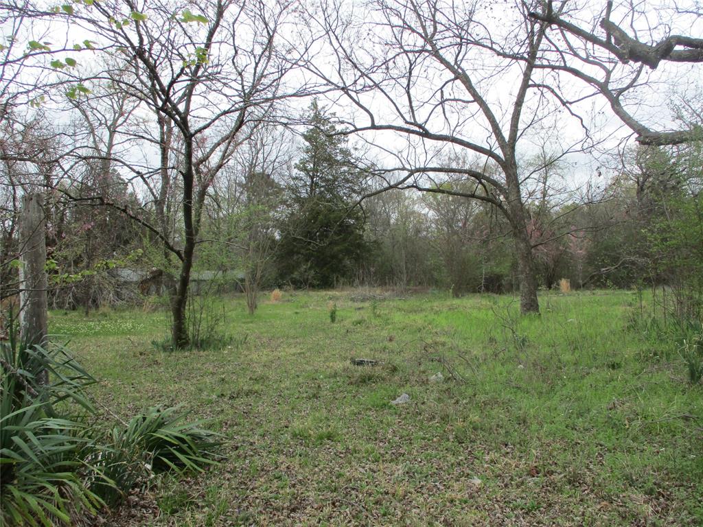 522 Quitman Street Emory, TX 75440 - Photo 3 of 6 a big yard with lots of green space and plants