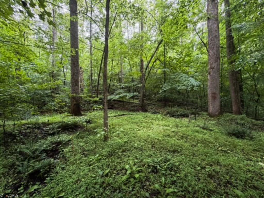7767 Pearman Quarry Road Kernersville, NC 27284 - Photo 8 of 27