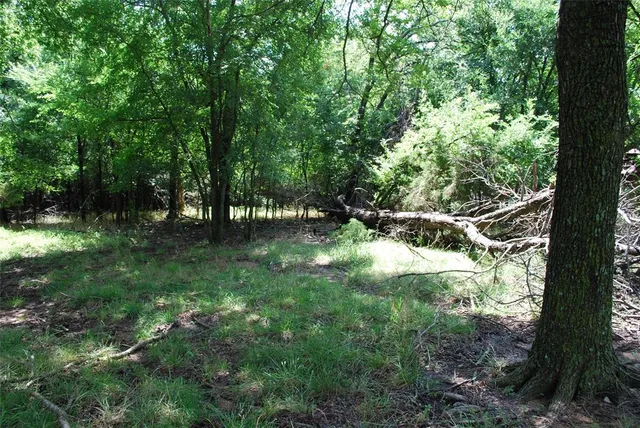 $20,000 | 15013 Golf Drive, Whitney, TX 76692