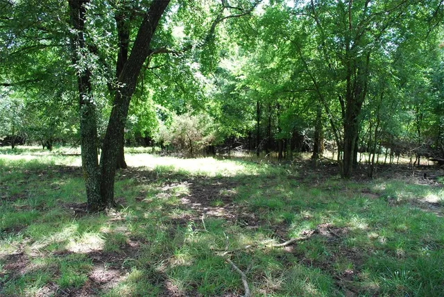 $20,000 | 15013 Golf Drive, Whitney, TX 76692