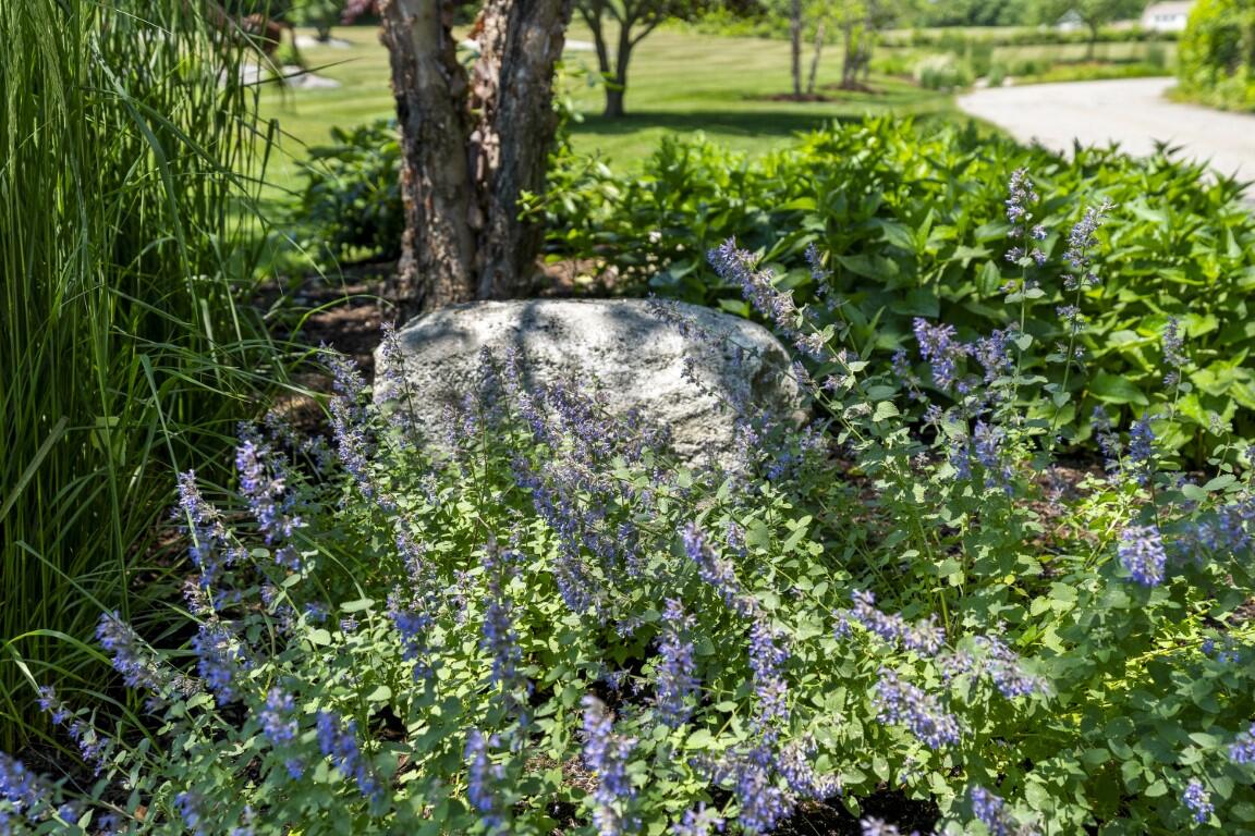 36 Wharf Road Boothbay, ME 04537 - Photo 84 of 86 84.