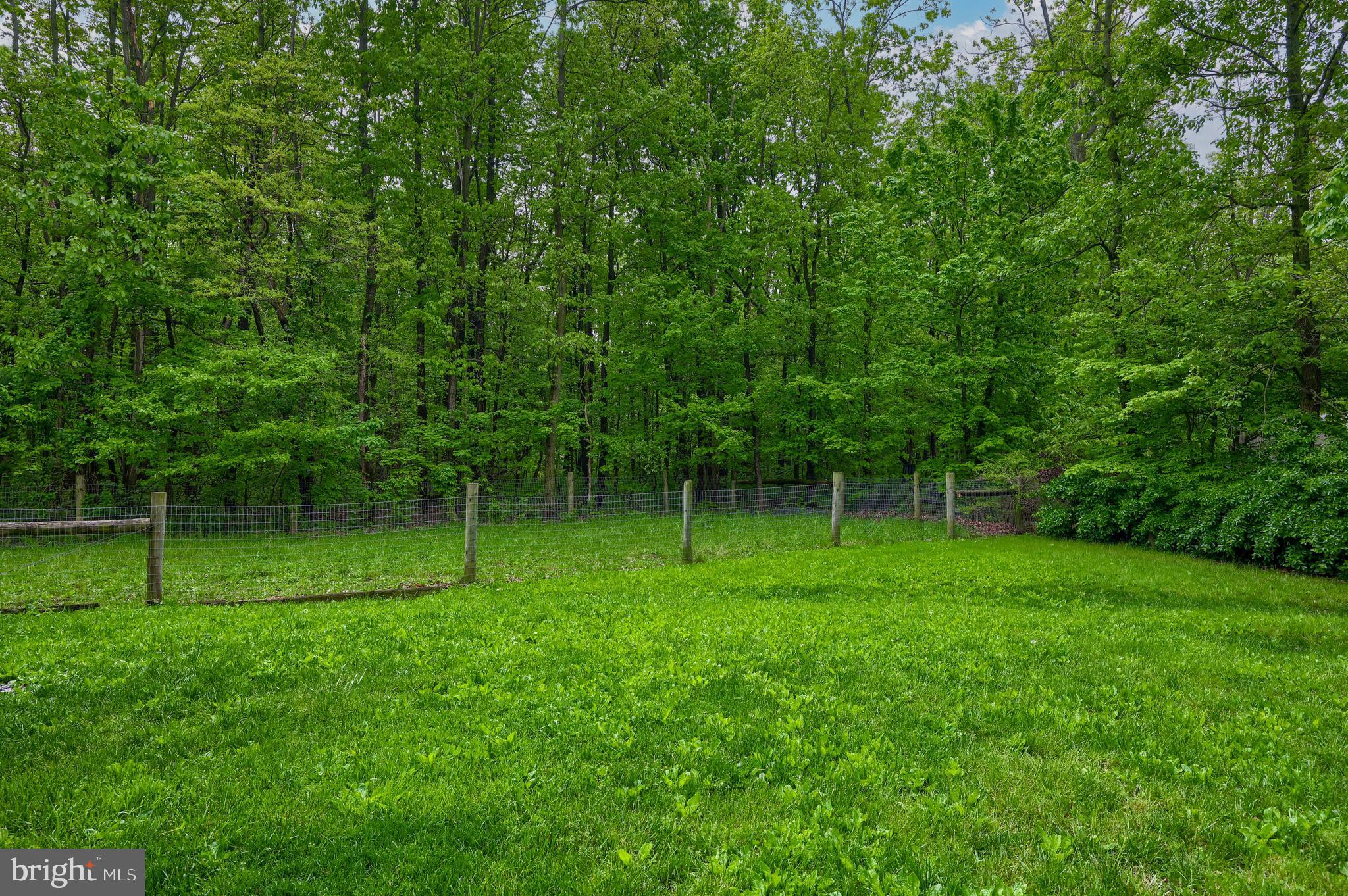 1634 Springville Road New Holland, PA 17557 - Photo 15 of 73