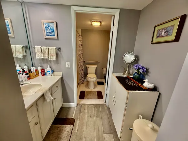 a white toilet sitting next to a shower curtain