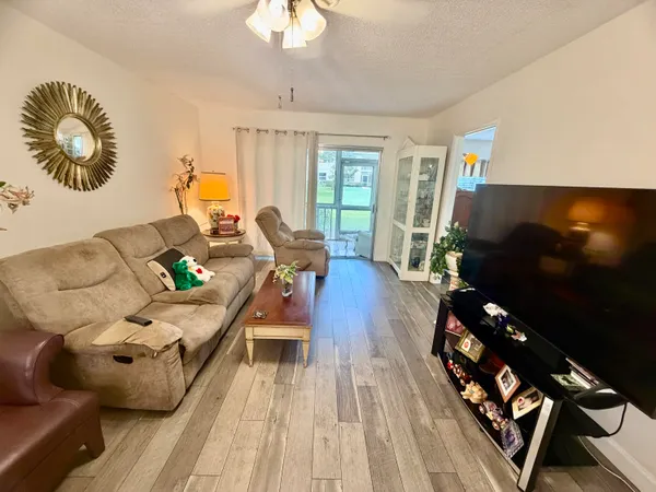 a view of a big yard with plants and large trees