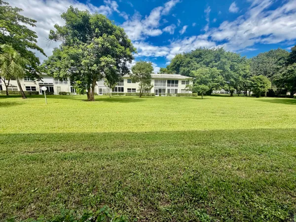 a view of a big yard with plants and large trees