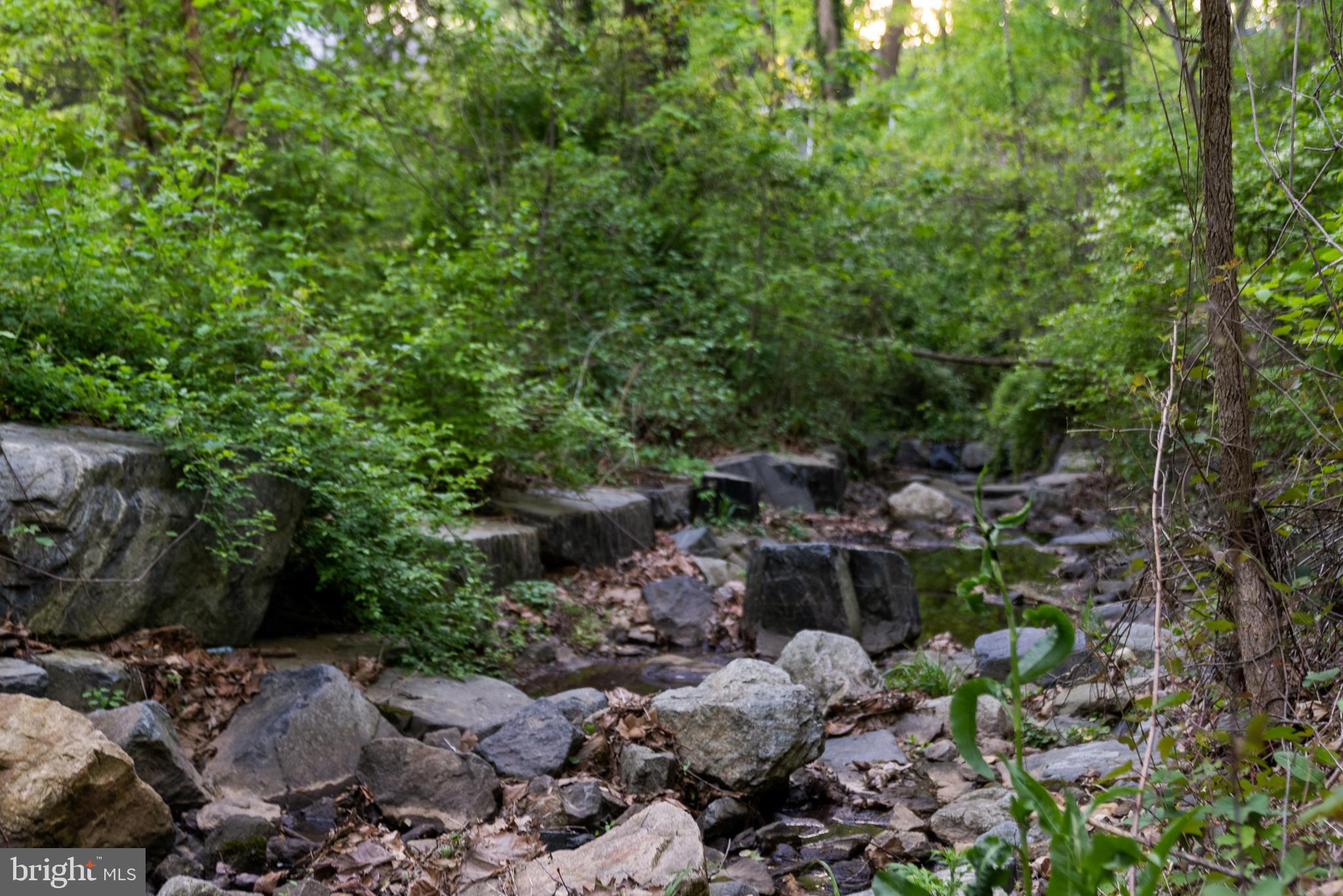 7111 Braeburn Place Bethesda, MD 20817 - Photo 77 of 86 a picture of outdoor space and a yard