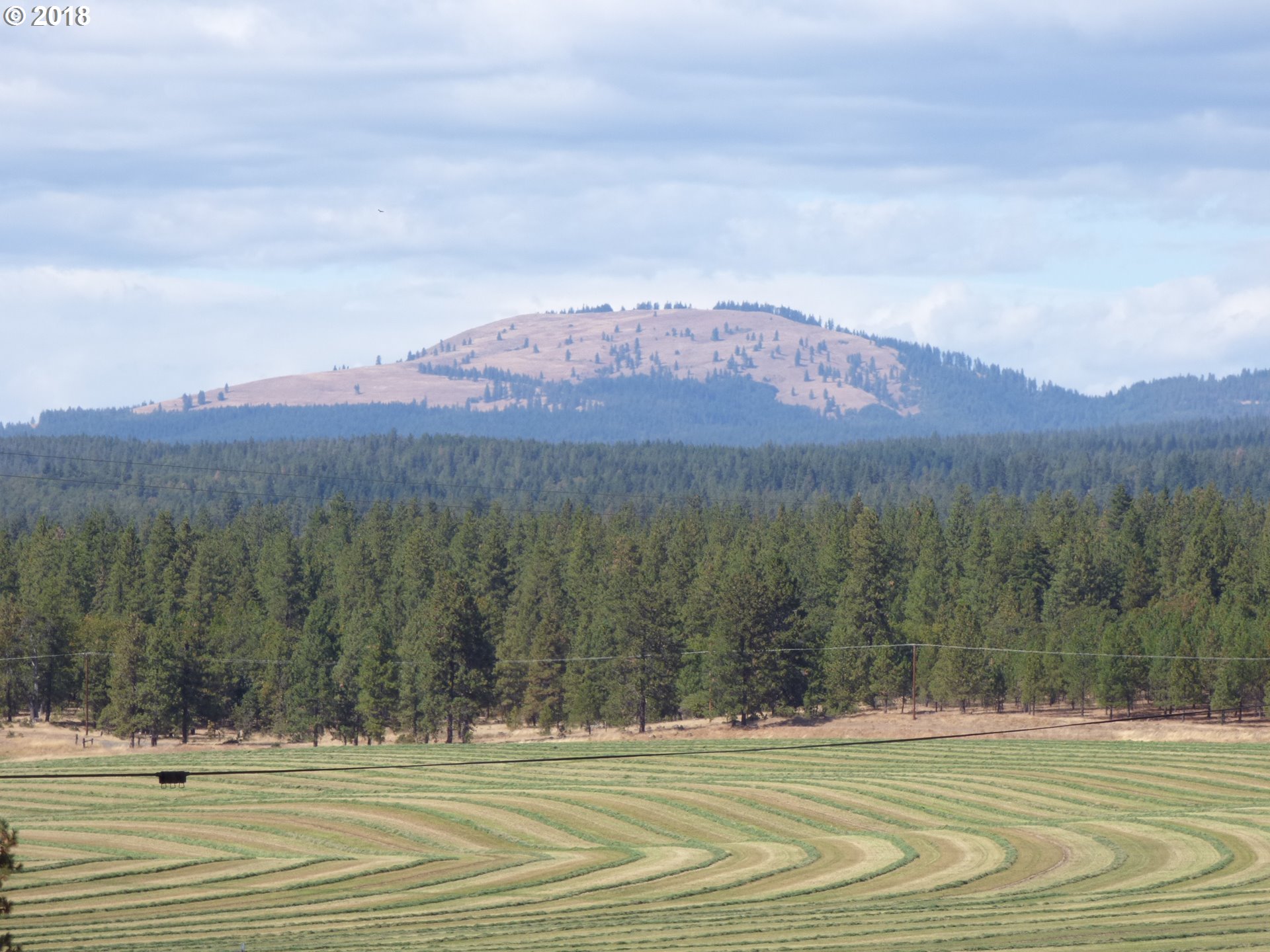 20 North Harris Road Goldendale, WA 98620 - Photo 32 of 32 Gallery Image 32