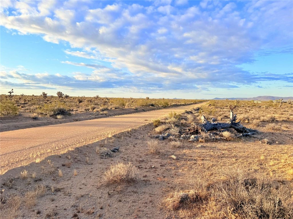20030 South Billy The Kid Road Yucca, AZ 86438 - Photo 5 of 20