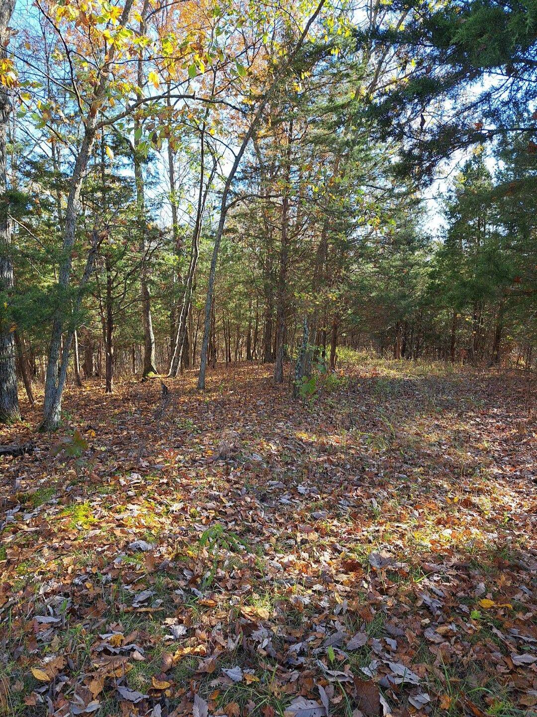 0 Friendship Road Sadieville, KY 40370 - Photo 11 of 14 Gallery Image 11