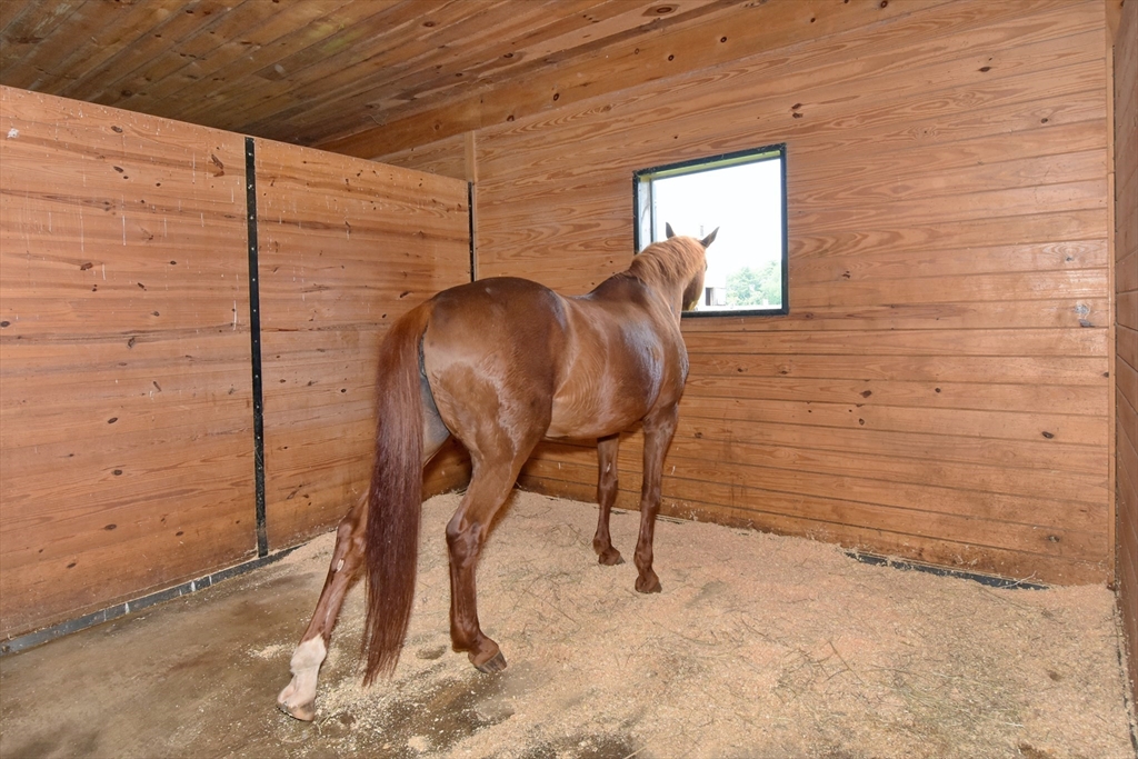 399 Main Street Plympton, MA 02367 - Photo 11 of 42 Gallery Image 11