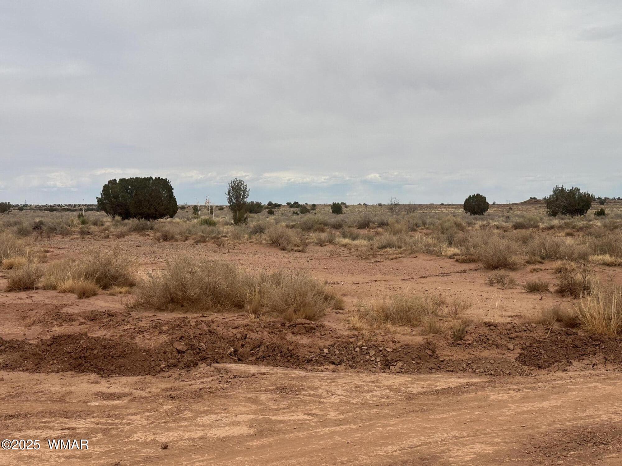 5103 Windmill Lane Snowflake, AZ 85937 - Photo 1 of 10 IMG_8961