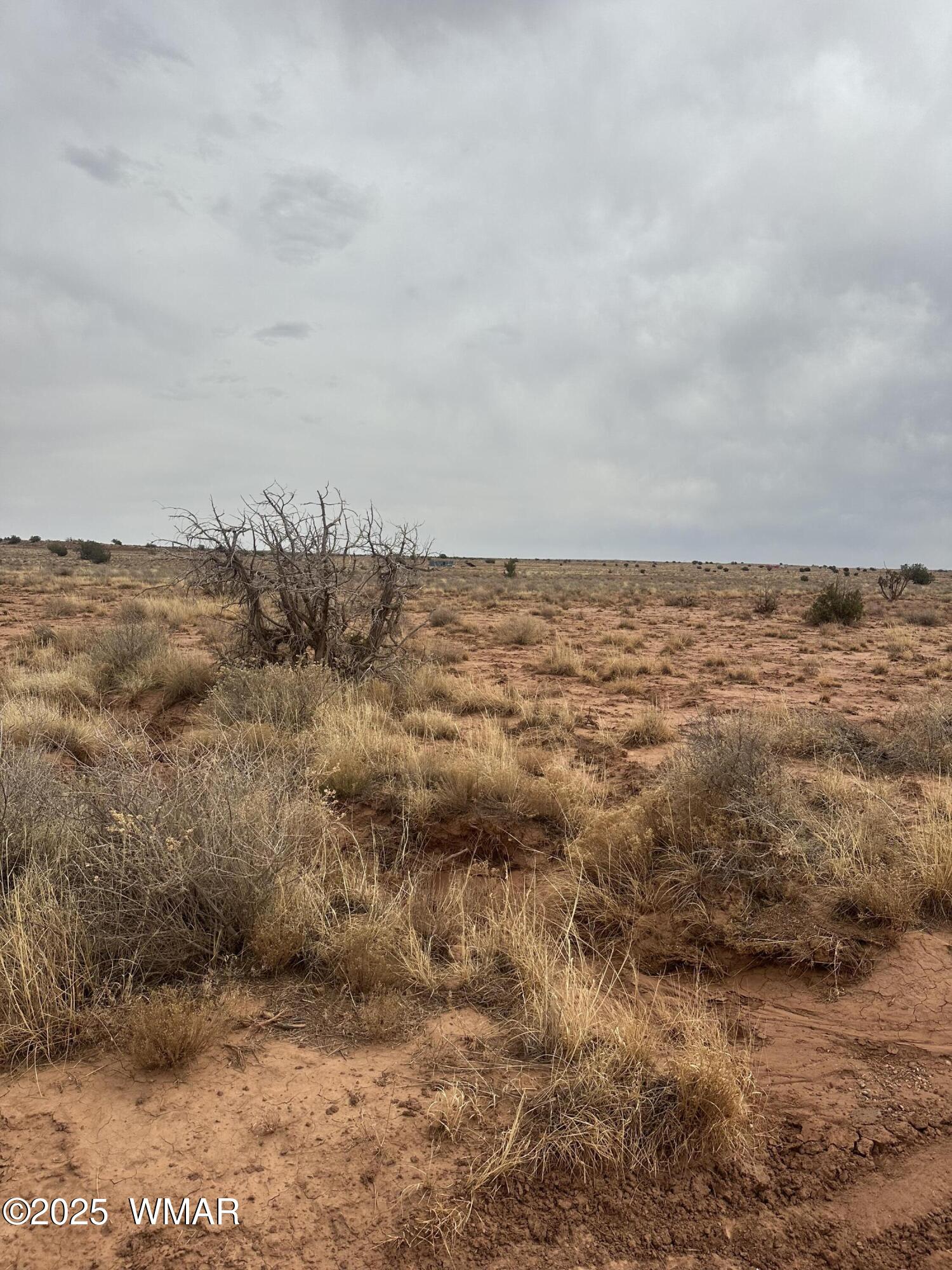 5103 Windmill Lane Snowflake, AZ 85937 - Photo 2 of 10 IMG_8966
