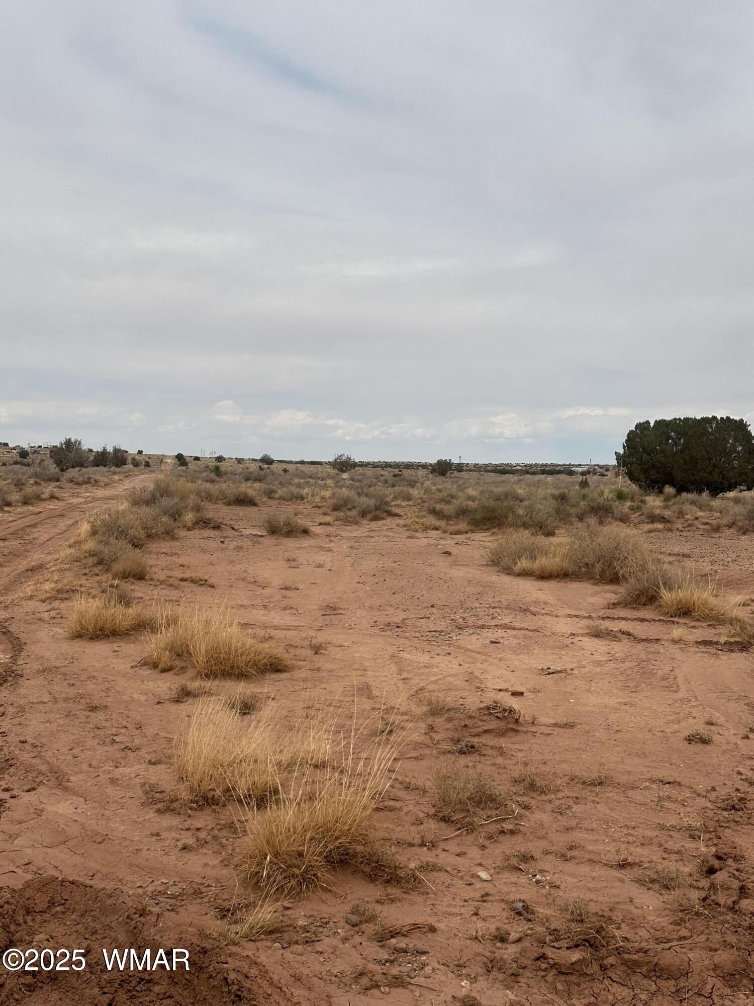 5103 Windmill Lane Snowflake, AZ 85937 - Photo 4 of 10 IMG_8962