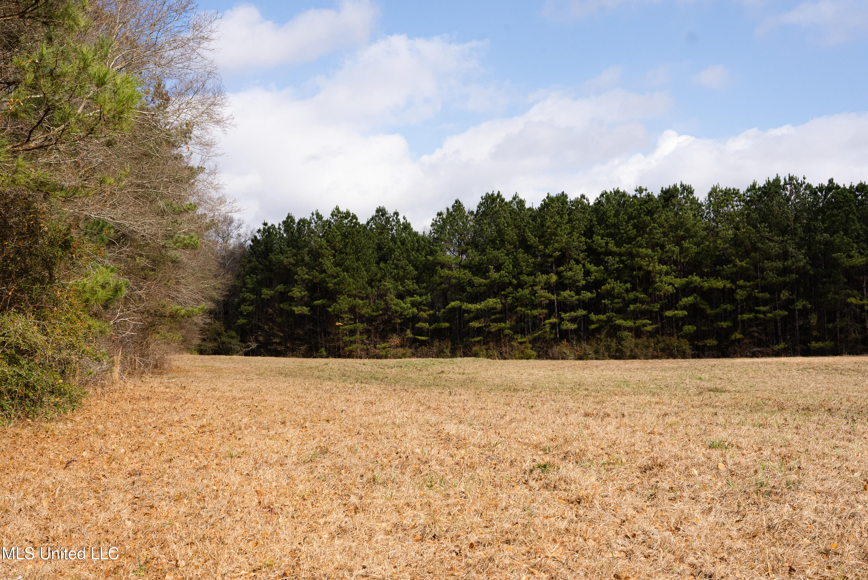 Reeves Road Laurel, MS 39443 - Photo 11 of 25 DSC06097