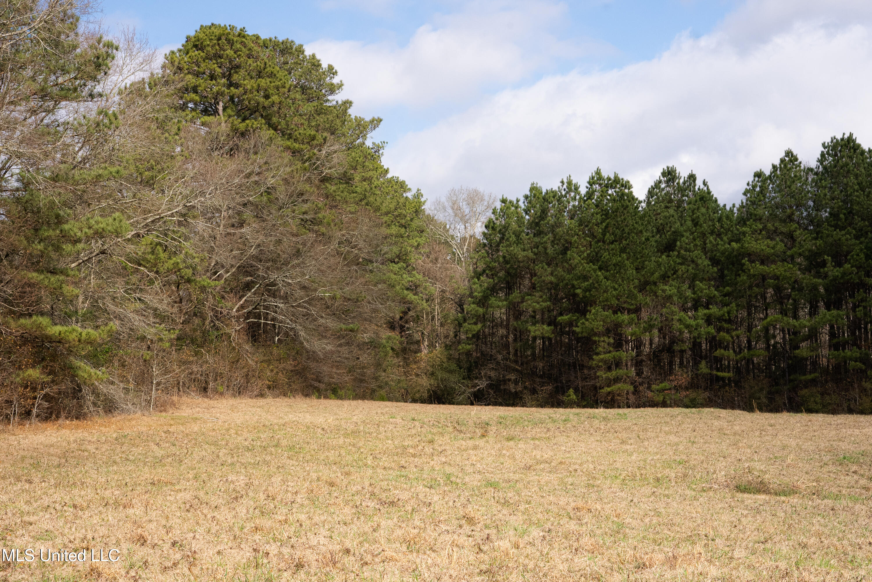 Reeves Road Laurel, MS 39443 - Photo 12 of 25 DSC06114