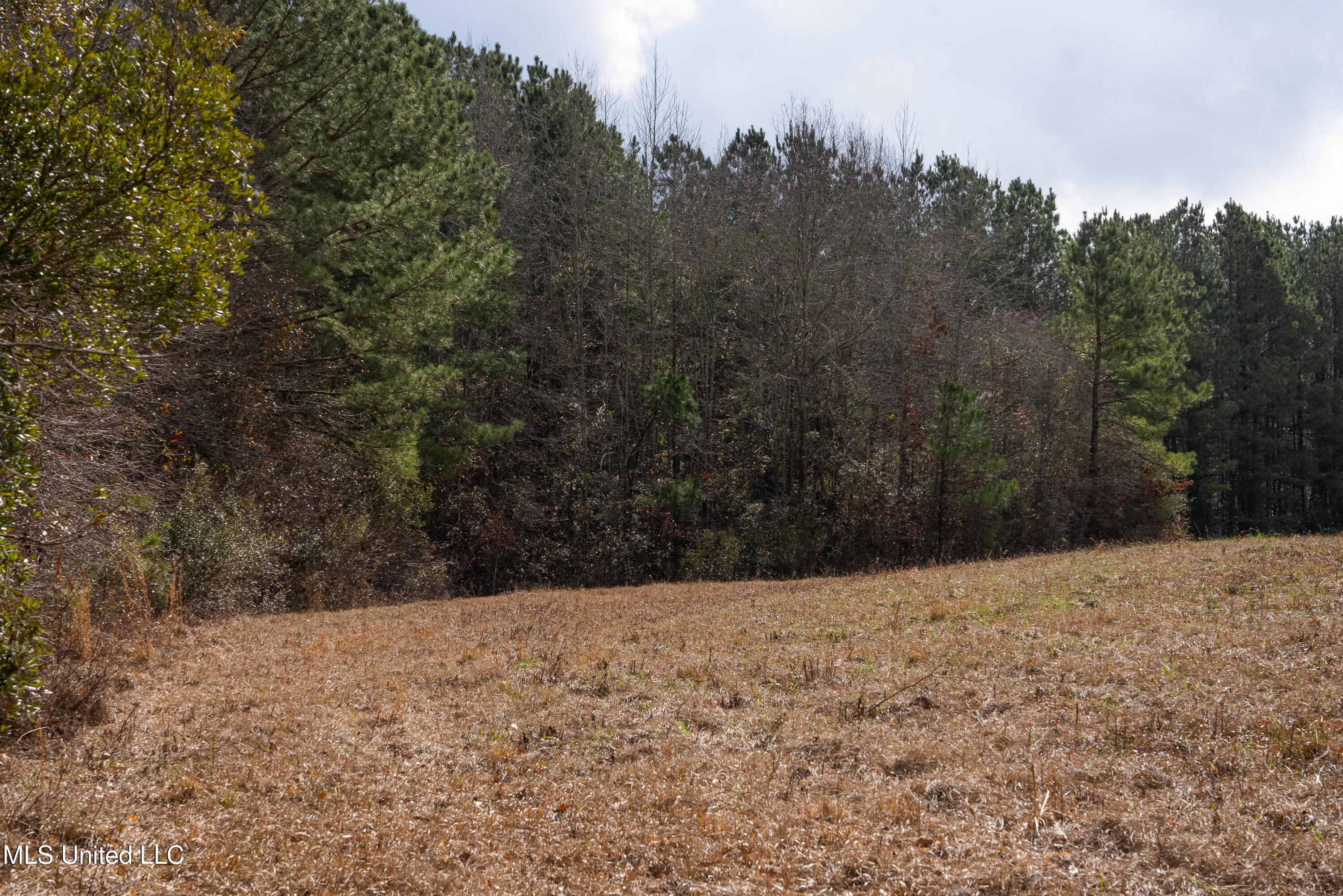 Reeves Road Laurel, MS 39443 - Photo 15 of 25 DSC06144