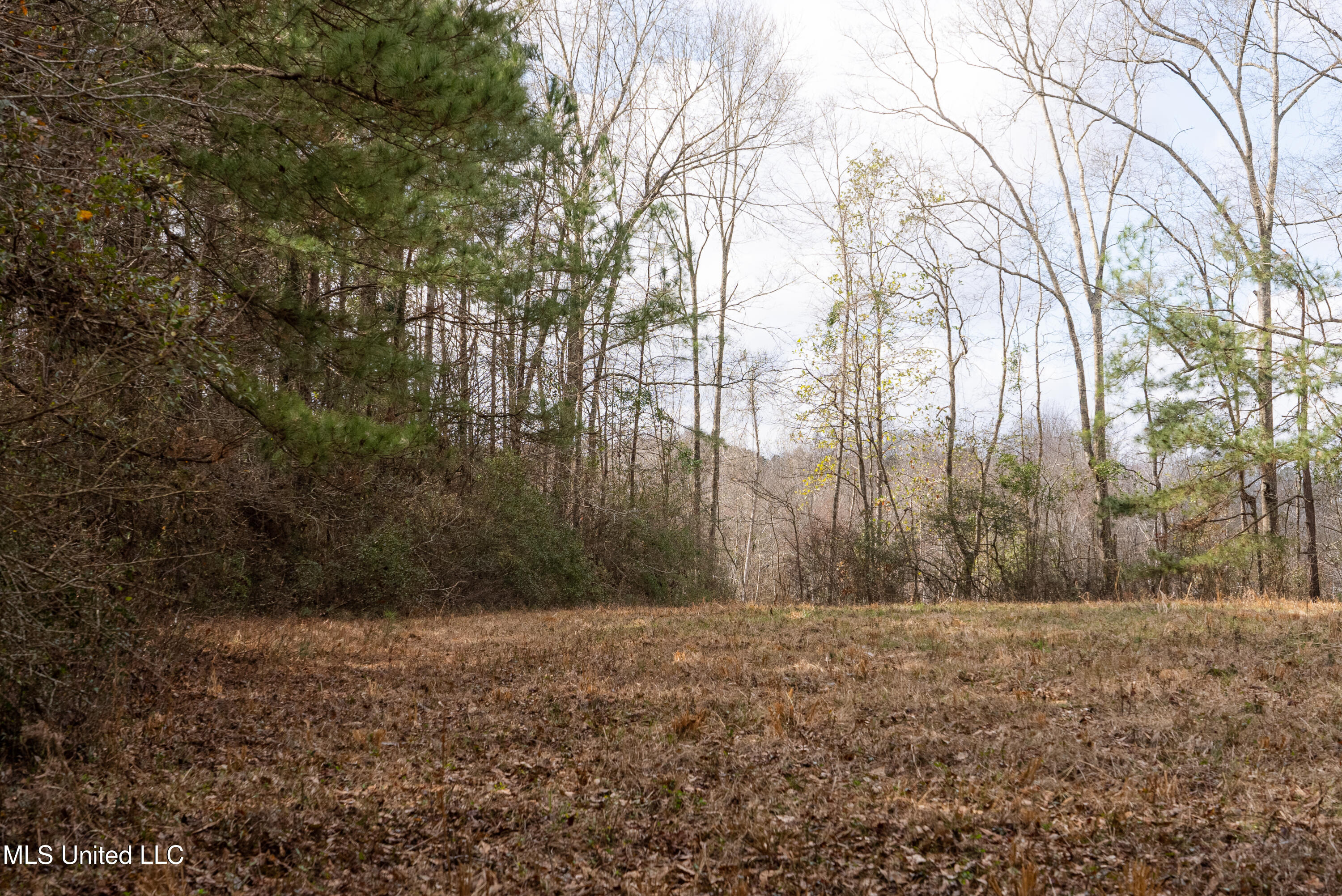 Reeves Road Laurel, MS 39443 - Photo 21 of 25 DSC06218