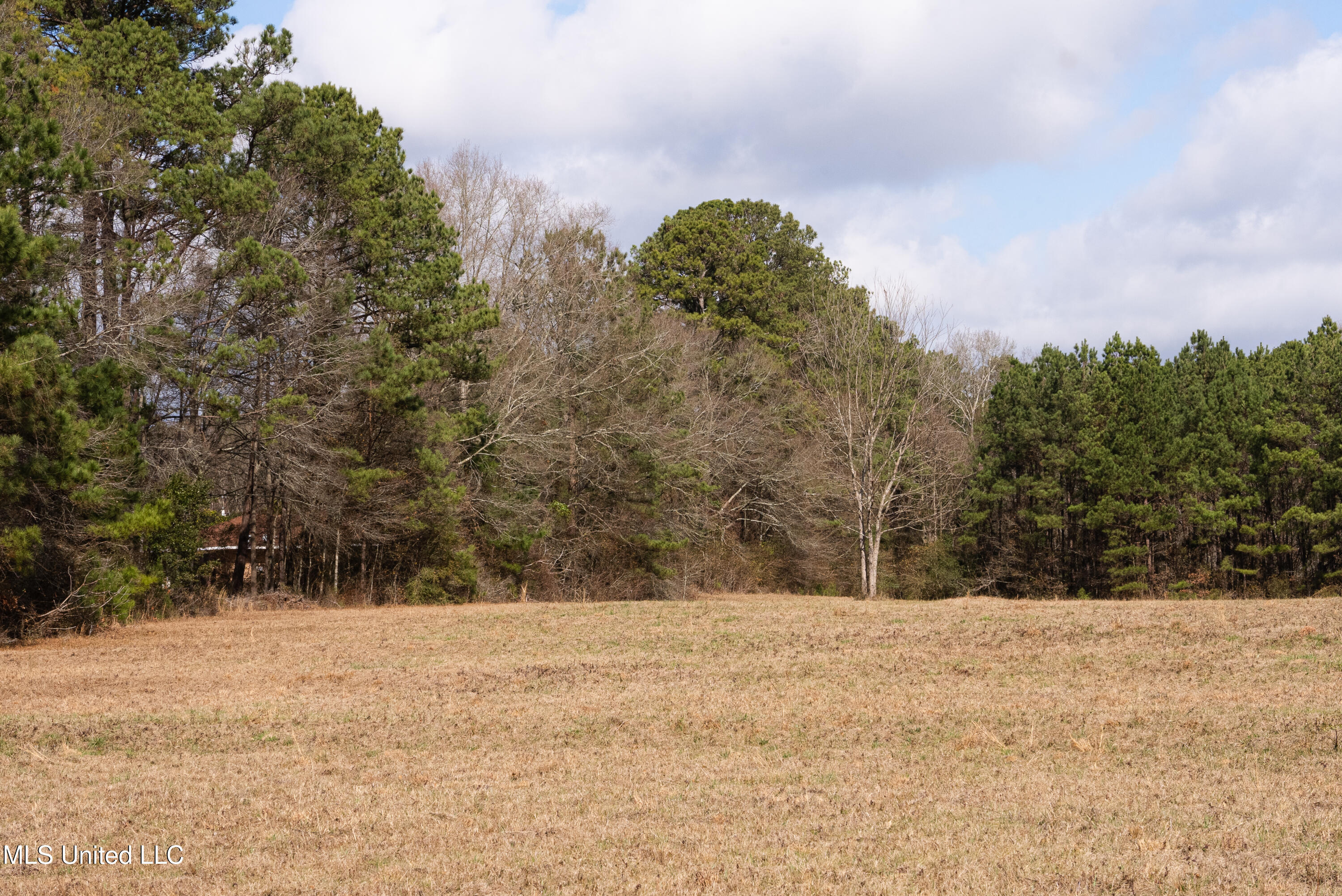 Reeves Road Laurel, MS 39443 - Photo 23 of 25 DSC06247