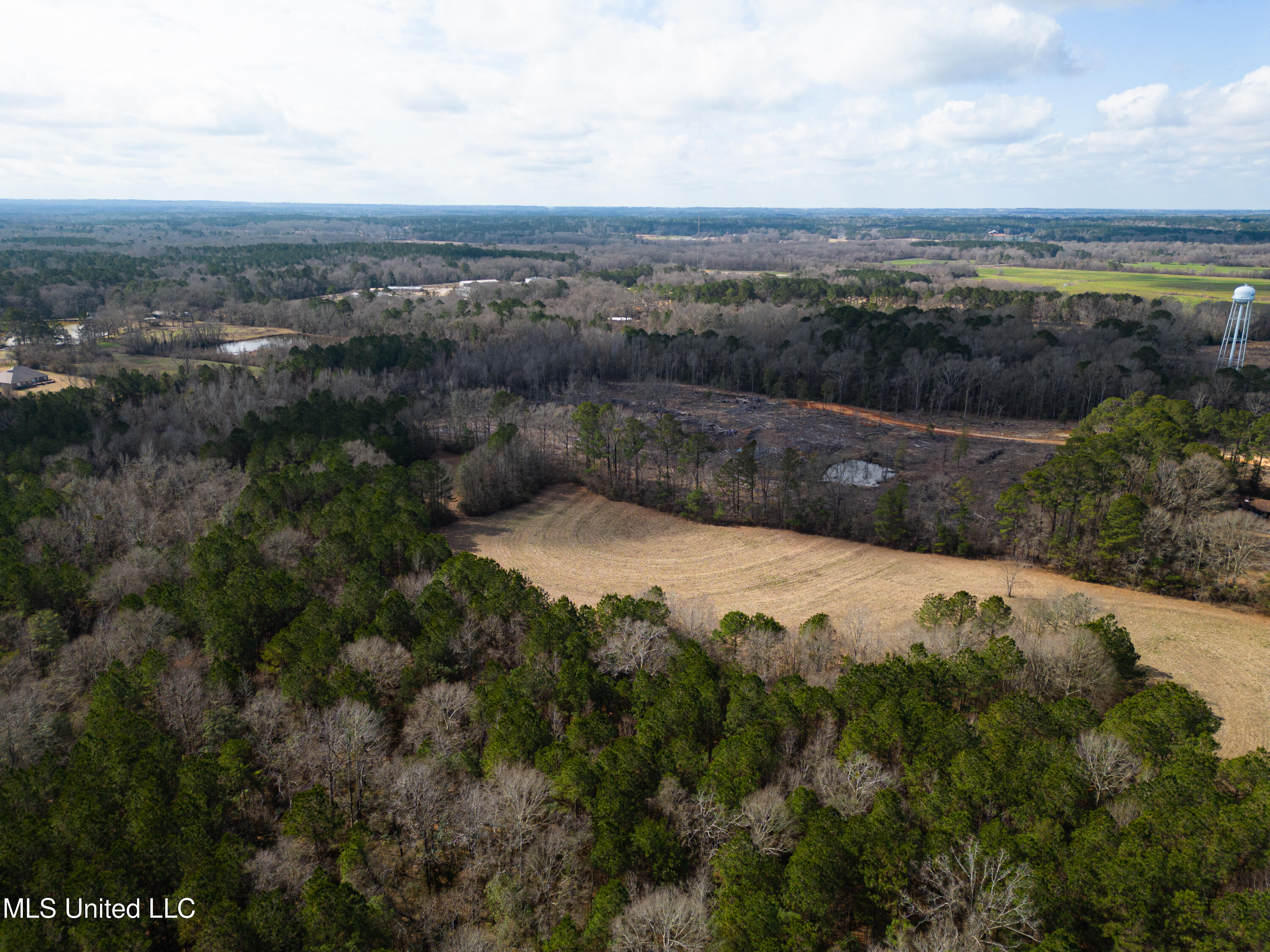 Reeves Road Laurel, MS 39443 - Photo 7 of 25 DJI_0445