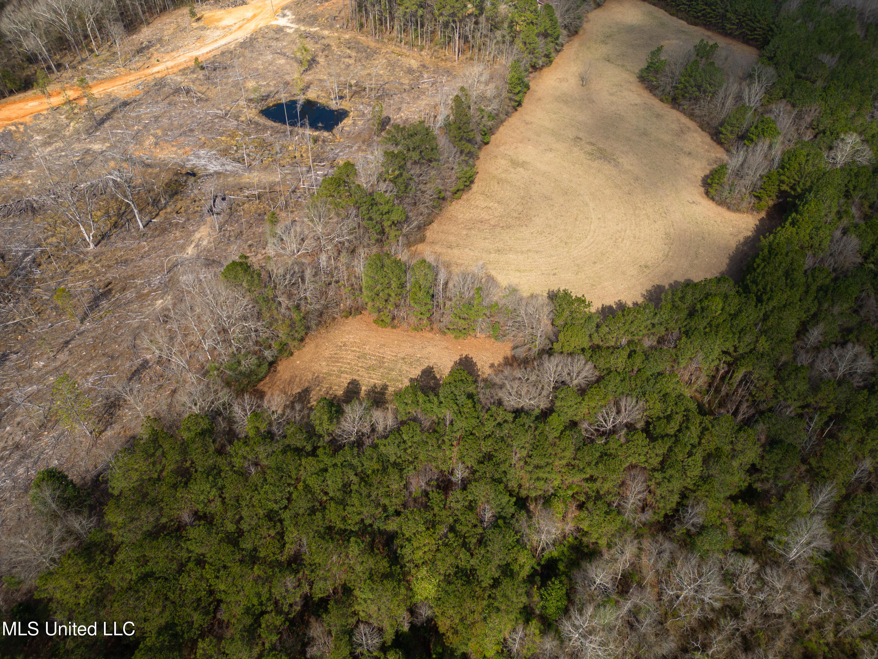 Reeves Road Laurel, MS 39443 - Photo 8 of 25 DJI_0456