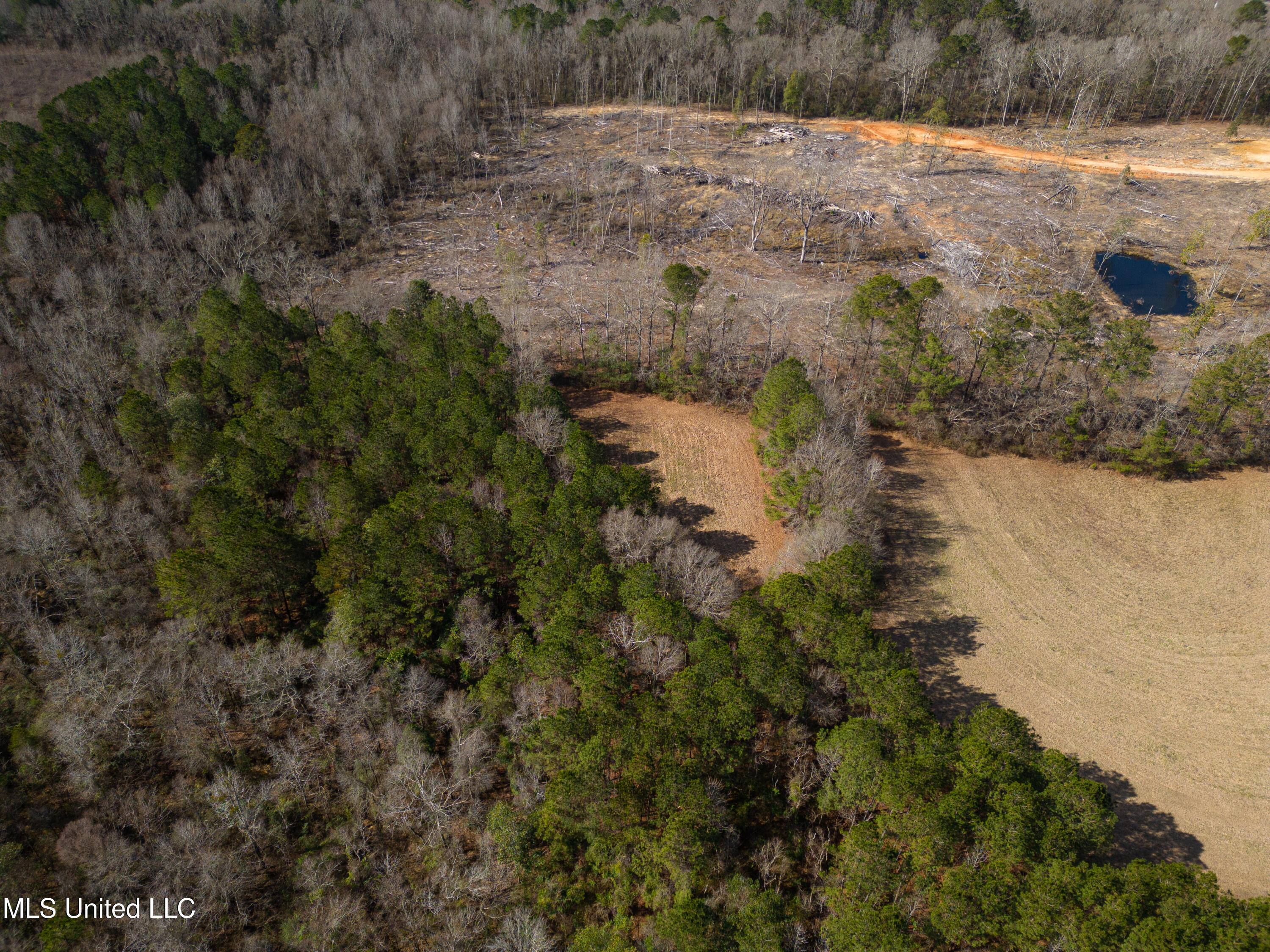Reeves Road Laurel, MS 39443 - Photo 10 of 25 DJI_0480