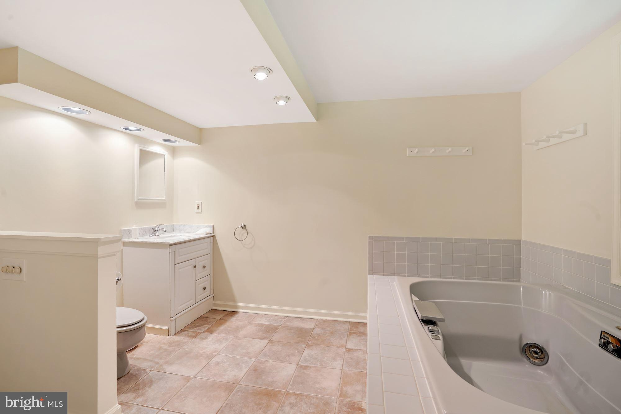 516 Springvale Road Great Falls, VA 22066 - Photo 32 of 44 Lower Level Full Bath