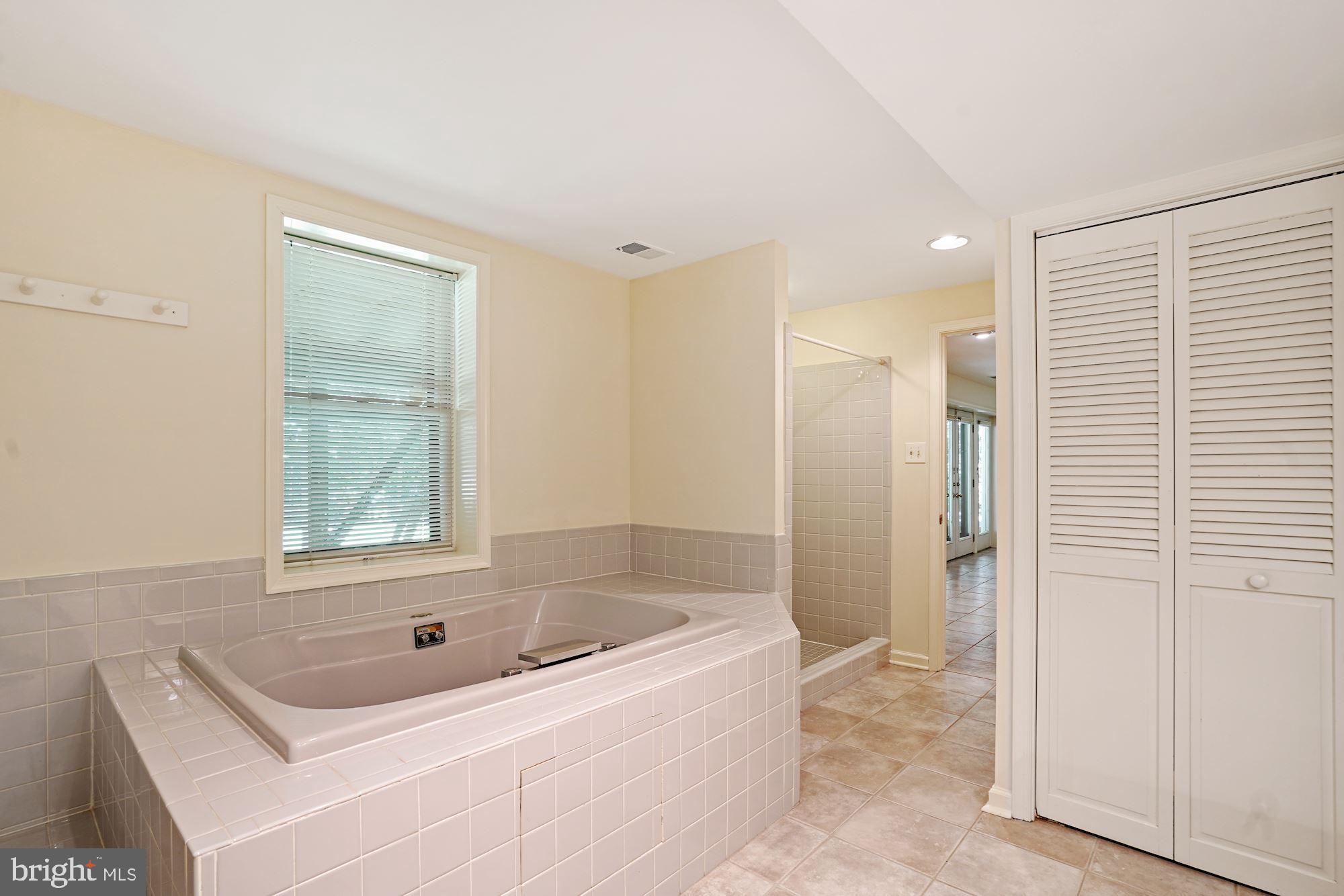 516 Springvale Road Great Falls, VA 22066 - Photo 33 of 44 Lower Level Full Bath with Jacuzzi tub