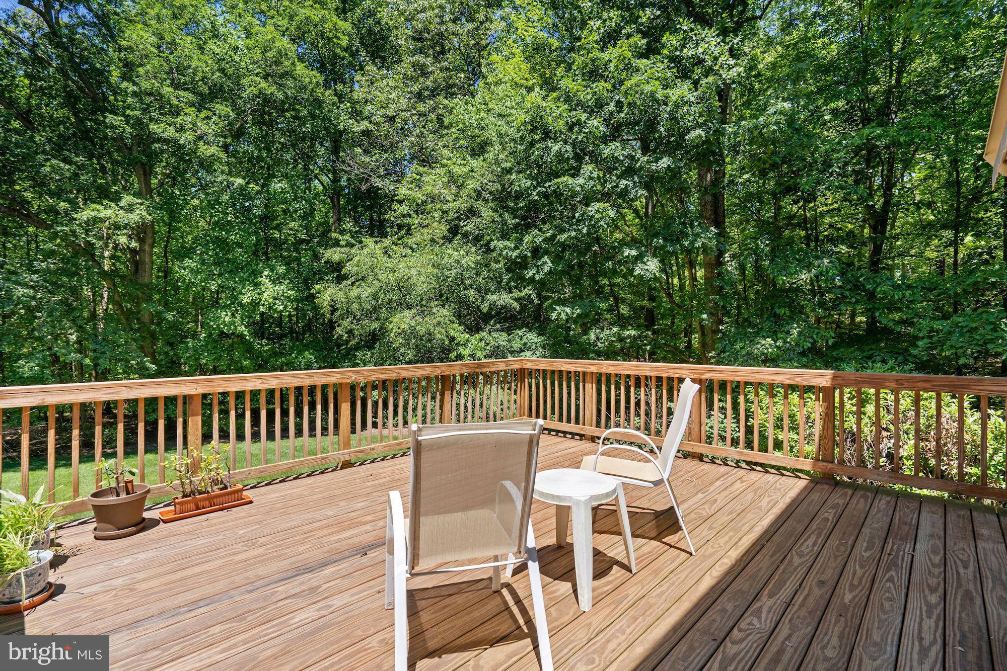 516 Springvale Road Great Falls, VA 22066 - Photo 36 of 44 Rear Deck