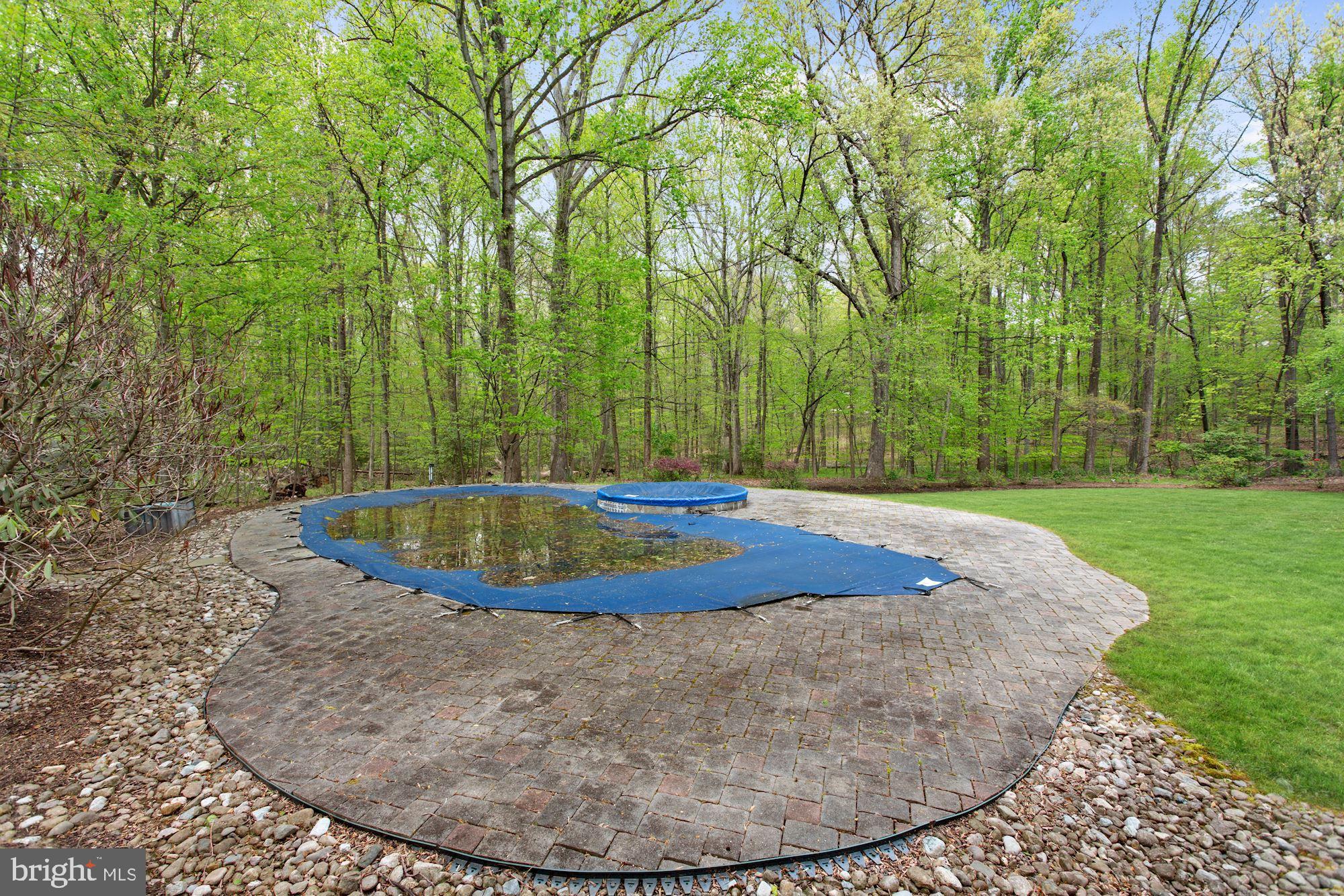 516 Springvale Road Great Falls, VA 22066 - Photo 40 of 44 Beautiful, free form pool