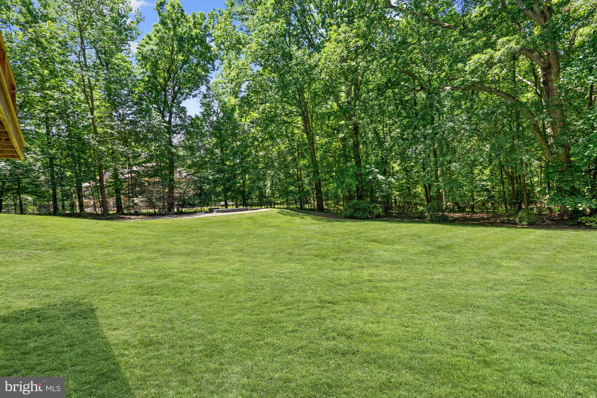 516 Springvale Road Great Falls, VA 22066 - Photo 42 of 44 Level yard perfect for play