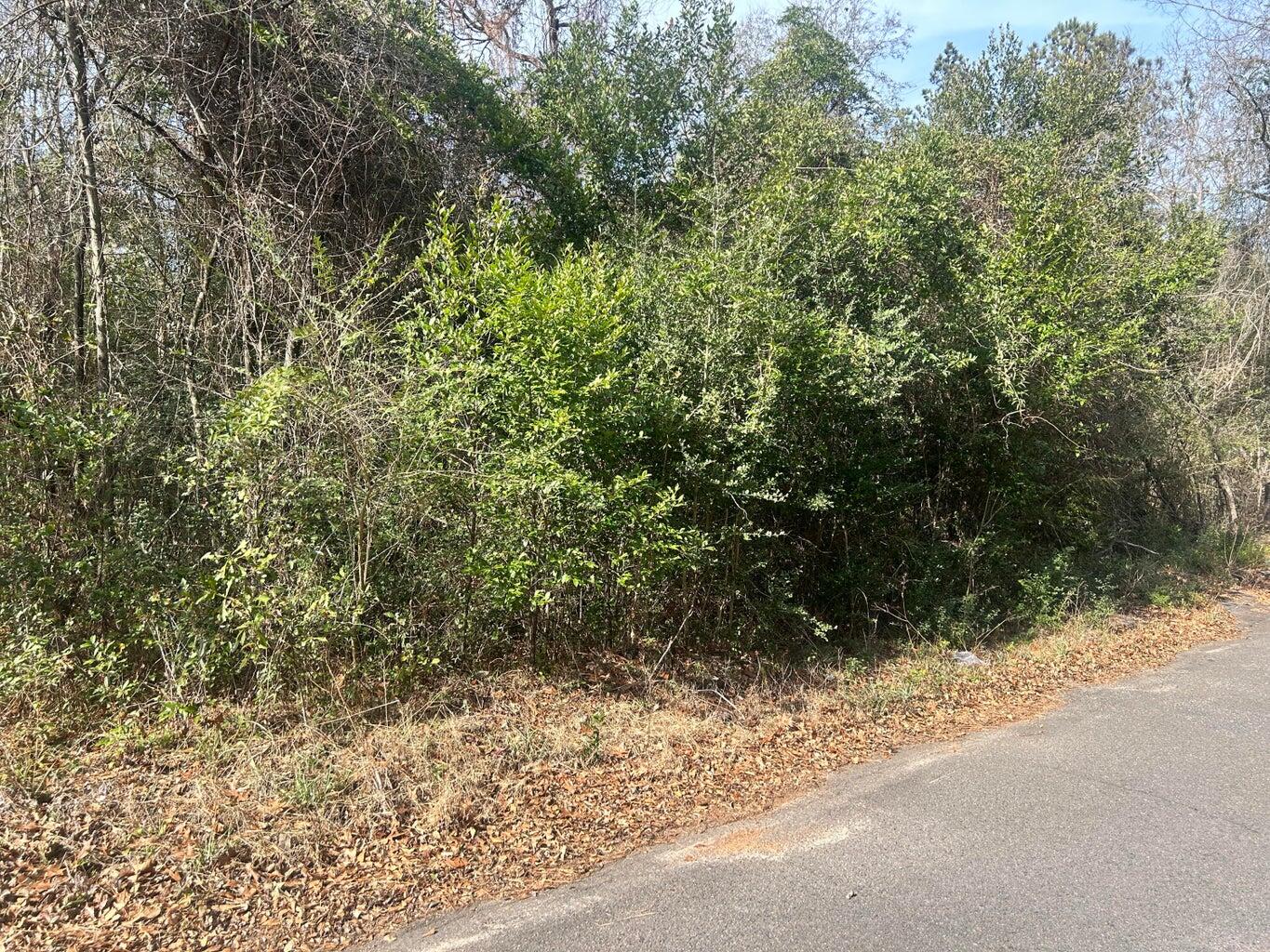 0 Robinson Drive New Ellenton, SC 29809 - Photo 2 of 9 20260122181225587647000000-o