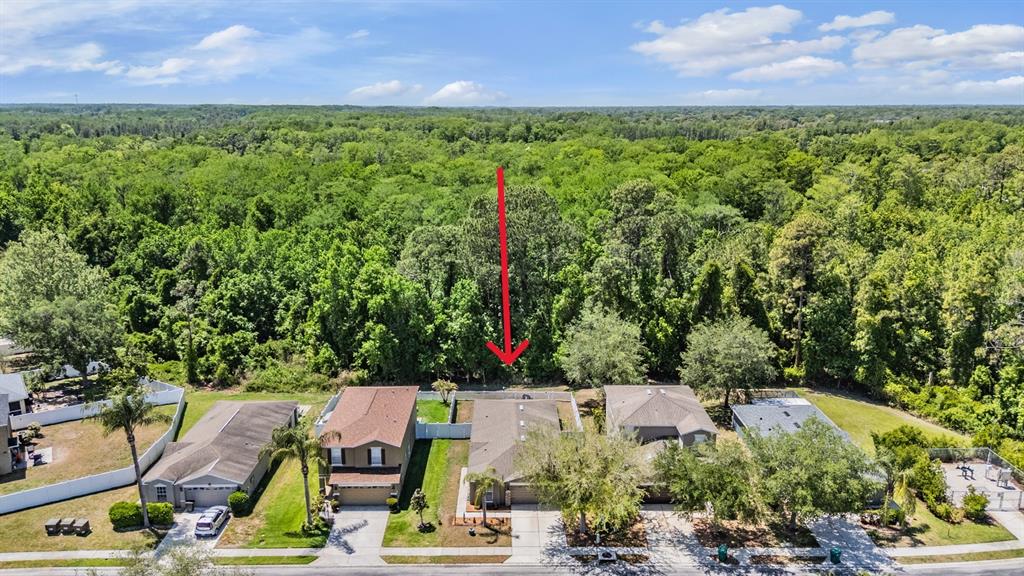 12715 White Bluff Road Hudson, FL 34669 - Photo 31 of 43