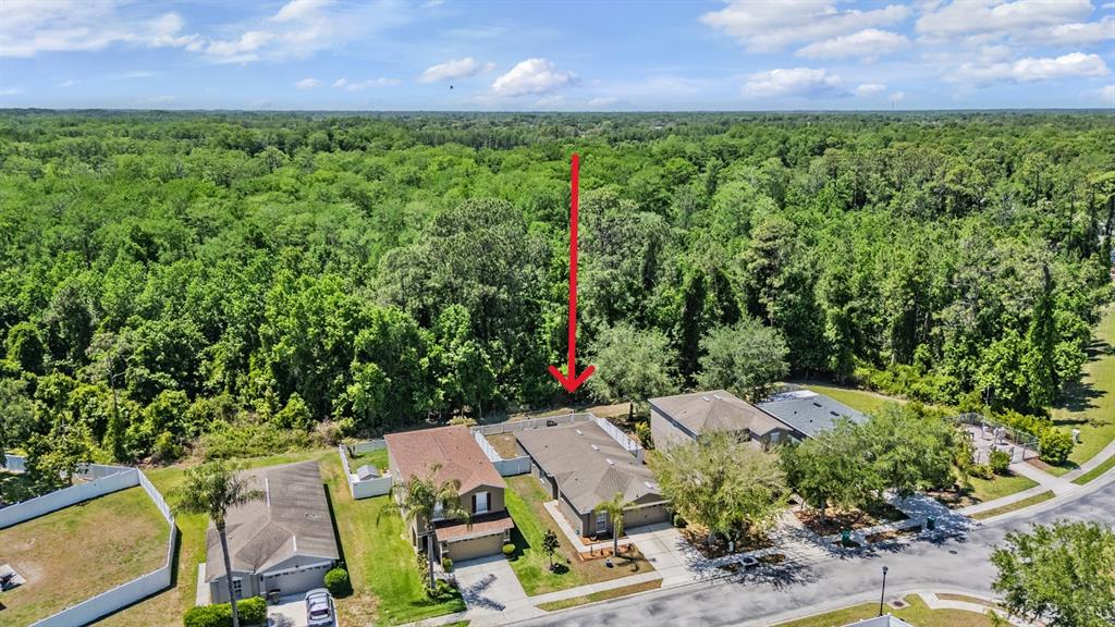 12715 White Bluff Road Hudson, FL 34669 - Photo 7 of 43