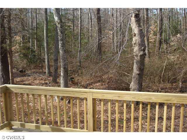 12500 Bundle Road Chesterfield, VA 23838 - Photo 9 of 11 Yard/Garden