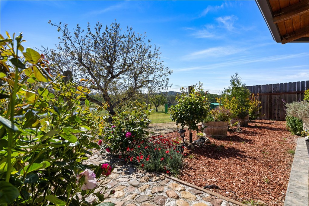 7875 Adobe Creek Road Kelseyville, CA 95451 - Photo 28 of 51 a view of a yard with plants and trees