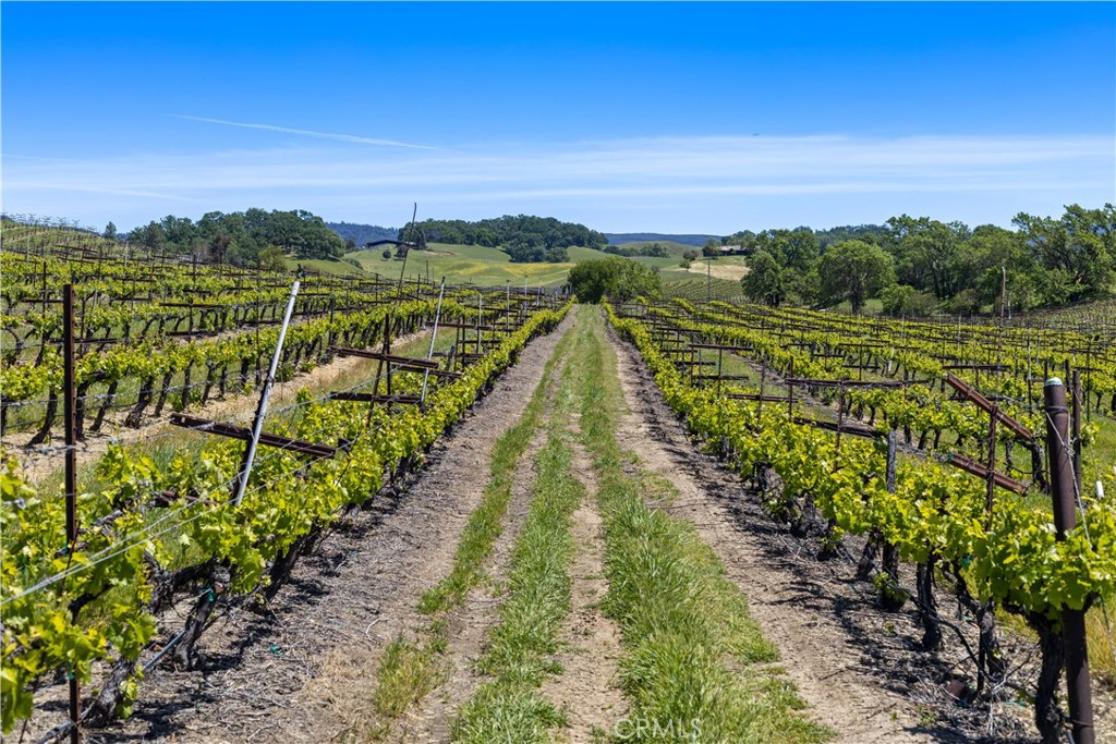 7875 Adobe Creek Road Kelseyville, CA 95451 - Photo 31 of 51 a view of a city with an ocean view