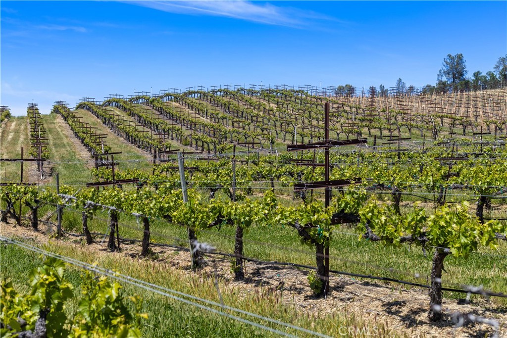 7875 Adobe Creek Road Kelseyville, CA 95451 - Photo 32 of 51 a view of a city