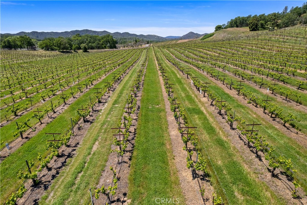 7875 Adobe Creek Road Kelseyville, CA 95451 - Photo 33 of 51 a view of an outdoor space with a lake view